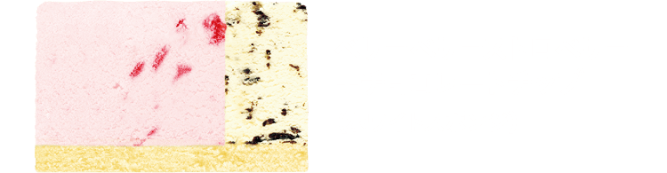 ベリーベリーストロベリー+チョコレートチップ(ホワイトスポンジ)