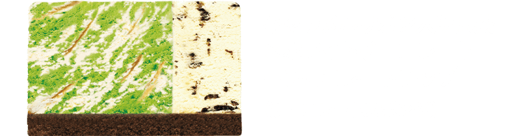 キャラメルリボン入り抹茶×ホワイトチョコレート+チョコレートチップ(チョコレートスポンジ)