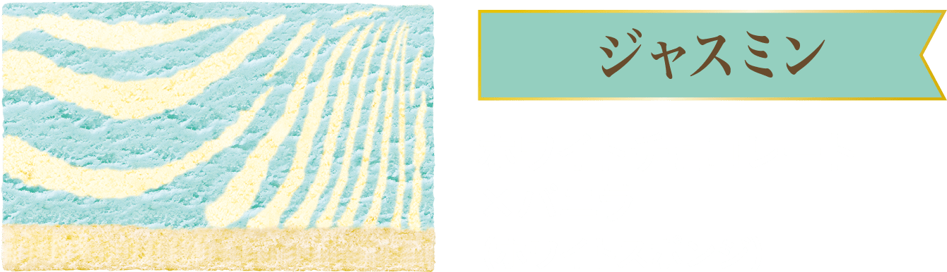 ジャスミン ホワイトチョコレート×バニラ（ホワイトスポンジ）