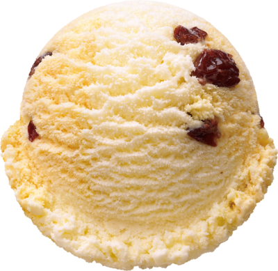 ラムレーズン フロマージュ