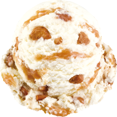 ココナッツグローブ